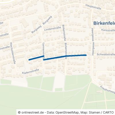 Eichenstraße Birkenfeld 