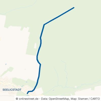 Einsweg 01909 Großharthau Seeligstadt 