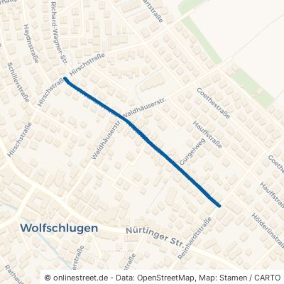 Friedrichstraße 72649 Wolfschlugen 