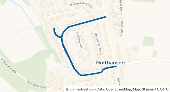 Ringstraße 49808 Lingen (Ems) Holthausen Holthausen