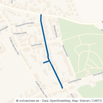 Heckenweg 48565 Steinfurt Borghorst 