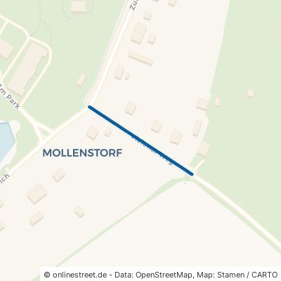 Vielener Weg 17217 Penzlin Mollenstorf 