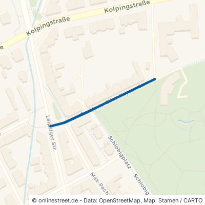 Dr.-Marie-Elise-Kayser-Straße 08056 Zwickau 