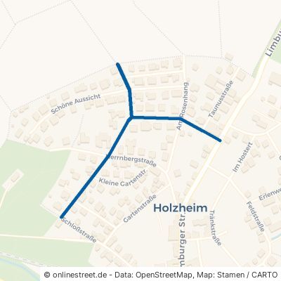 Albert-Schweitzer-Straße Holzheim 