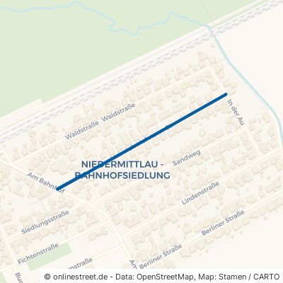 Heinrich-Hofmann-Straße Hasselroth Niedermittlau 