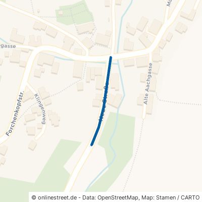 Neue Straße 72250 Freudenstadt Grüntal 