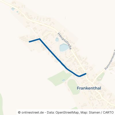 Allee Frankenthal 