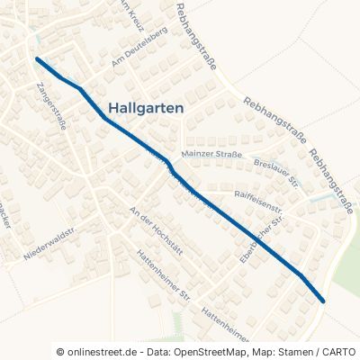 Adam-Von-Itzstein-Straße 65375 Oestrich-Winkel Hallgarten 
