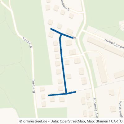 Konarskistraße 16727 Oberkrämer 