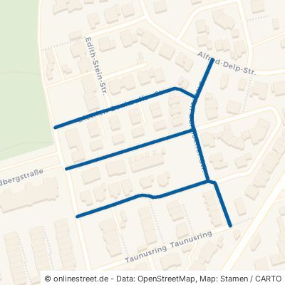 Dietrich-Bonhoeffer-Straße Heusenstamm 