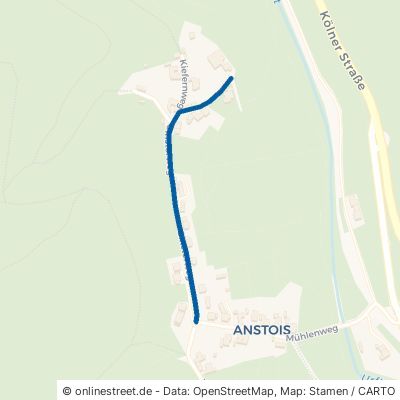 Ginsterweg Kall Anstois 