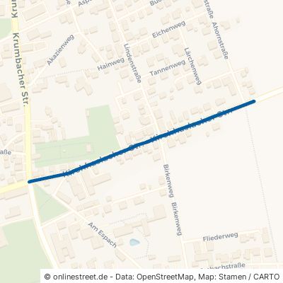 Kirchhaslacher Straße 87727 Babenhausen 