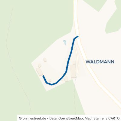 Waldmann 94264 Langdorf Waldmann 