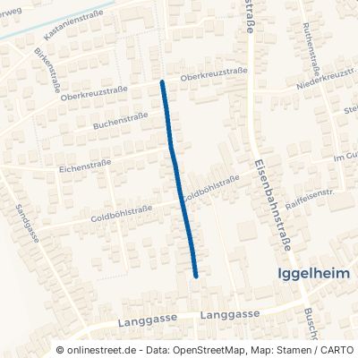 Kurt-Schumacher-Straße Böhl-Iggelheim Iggelheim 