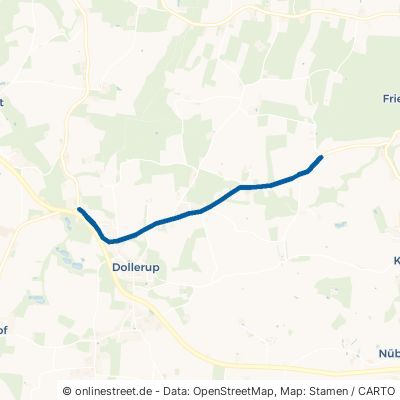 Neukirchener Weg Dollerup 