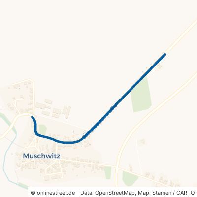 Schmiedestraße Lützen Muschwitz 