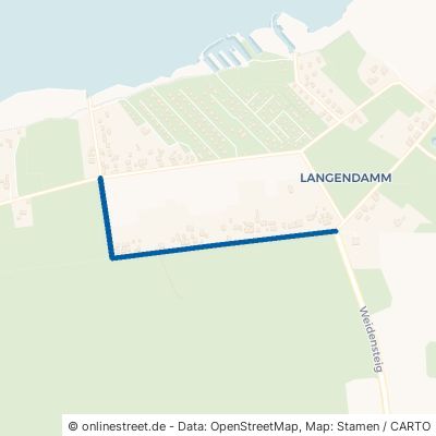 Waldreihe Ribnitz-Damgarten Langendamm 