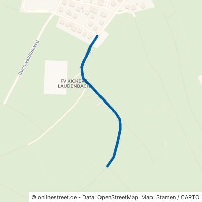 Triebweg Laudenbach 