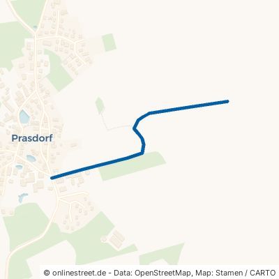 Lüningsredder Prasdorf 