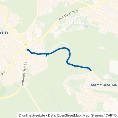 Mammolshainer Weg 61462 Königstein im Taunus Königstein Königstein im Taunus