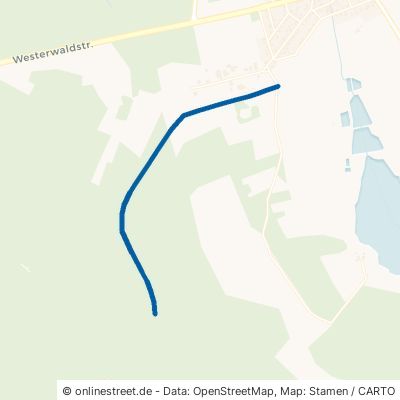 Alte Bahnstrecke Rennerod - Herborn 56479 Rehe 