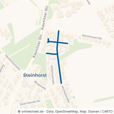 Bonifatiusstraße Delbrück Steinhorst 