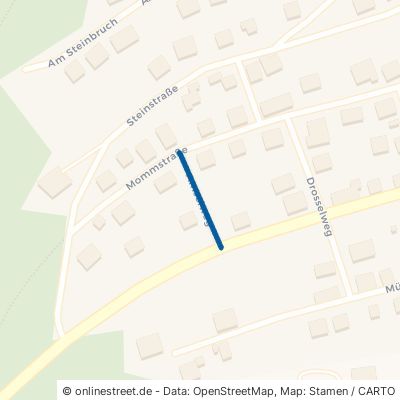 Amselweg 57555 Mudersbach 