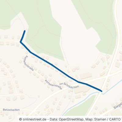 Wittumhofstraße 57572 Niederfischbach 