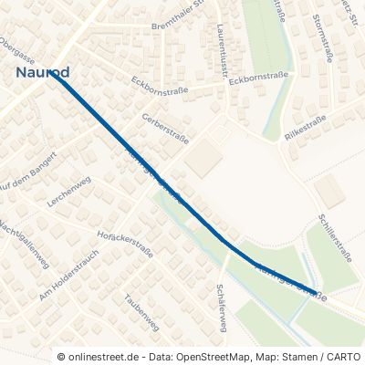 Auringer Straße Wiesbaden Naurod 