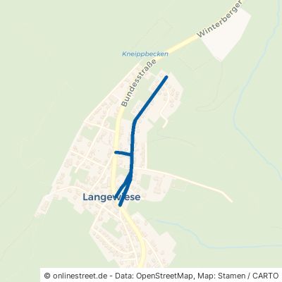 Alter Weg Winterberg Langewiese 
