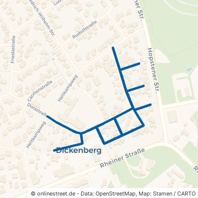 Erikastraße 49479 Ibbenbüren Dickenberg Dickenberg