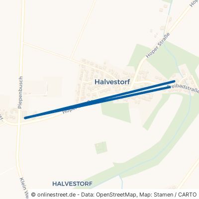 Roggenhof 31787 Hameln Halvestorf Halvestorf