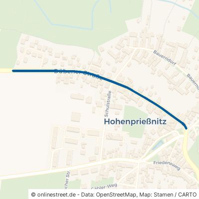Dübener Straße Zschepplin Hohenprießnitz 