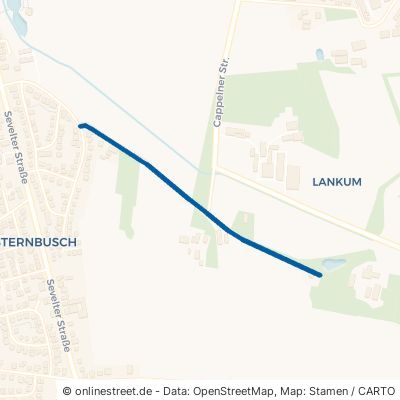 Karkweg Cloppenburg Lankum 