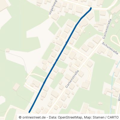 Sommerstraße 66996 Erfweiler 