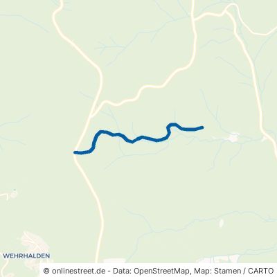 7-Moore-Weg / Brunnmattenmoosweg Herrischried Rütte 