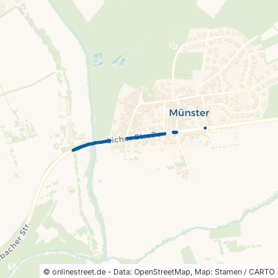 Licher Straße 35321 Laubach Münster Münster