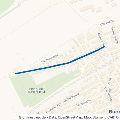 Ernst-Ludwig-Straße 55257 Budenheim 