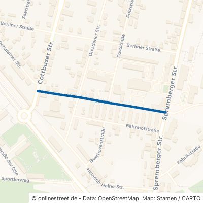 Brandenburger Straße 03119 Welzow Neuwelzow 