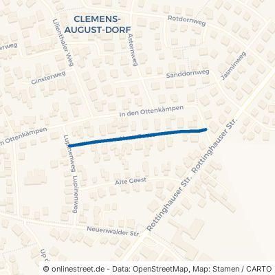 Neue Geest Damme Clemens-August-Dorf 