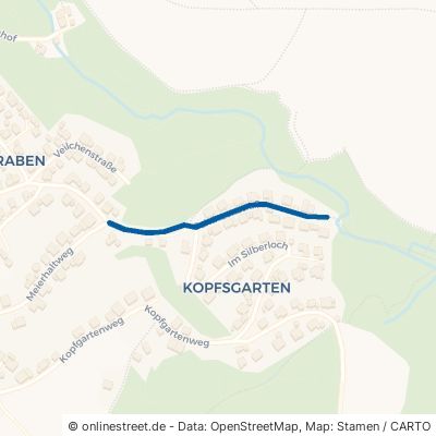 Schützenstraße Lauf 