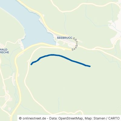 Seehaldenweg Schluchsee Seebrugg 