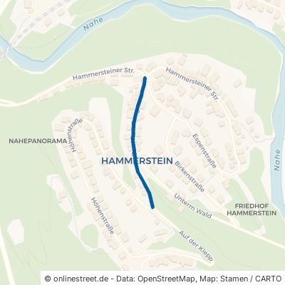 Zum Radeberg Idar-Oberstein Hammerstein 