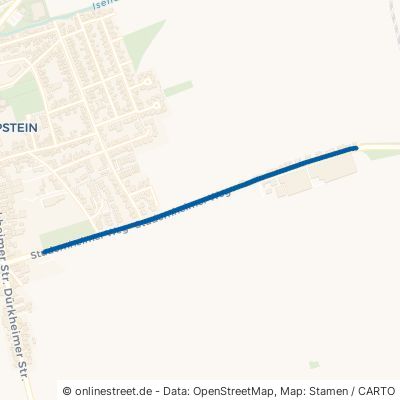 Studernheimer Weg Frankenthal Eppstein 