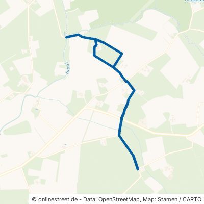 Hogefeldsweg Schermbeck Dämmerwald 