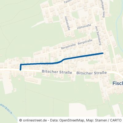 Wasgaustraße 66996 Fischbach bei Dahn 