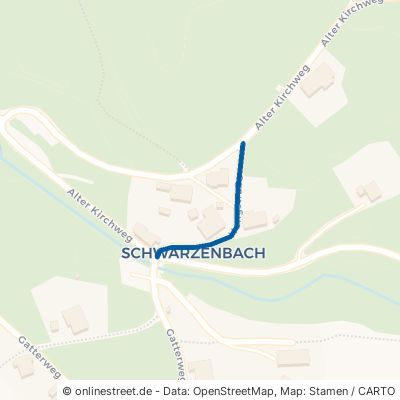 Hangstraße 79682 Todtmoos Schwarzenbach 