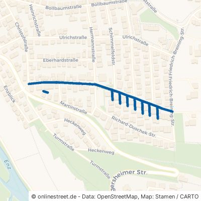 Seitenstraße 74354 Besigheim 