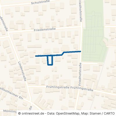 Pfarrer-Ott-Straße Großwallstadt 
