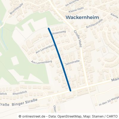 Taunusstraße 55263 Wackernheim 